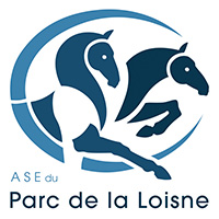 Logo ASE
